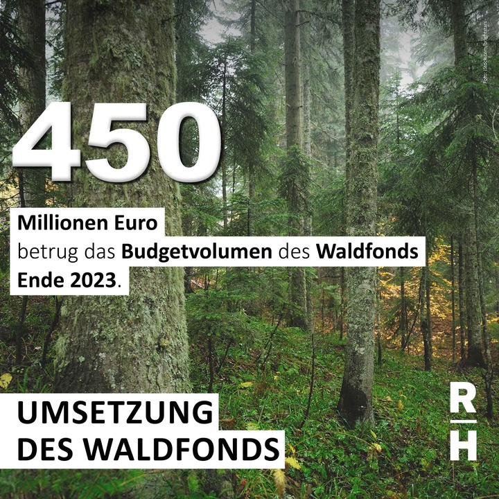 Wald - Copyright: Foto: iStock/brightstars